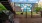 Bark Park